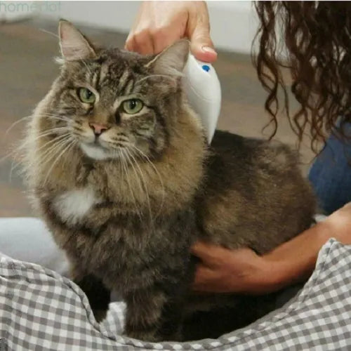 🐾 Peine Eléctrico Mata Pulgas – Cuida a tu mascota con amor 💖